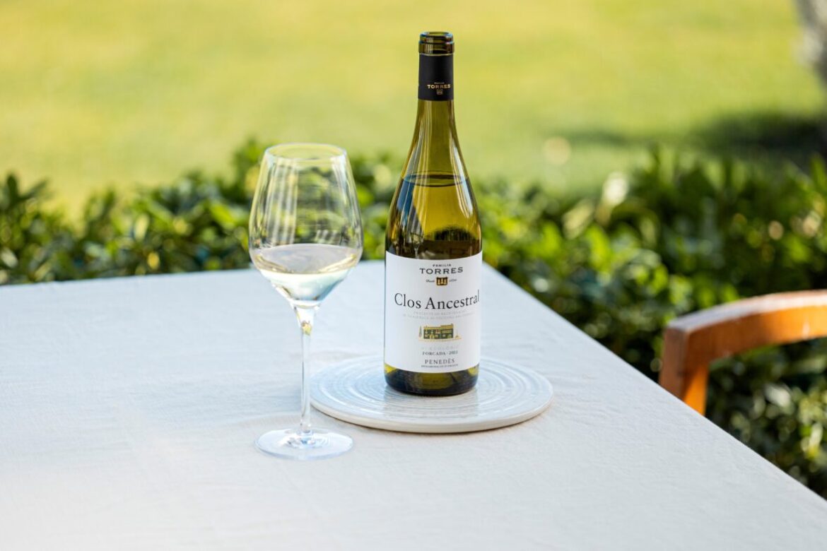 Wine Of The Week: Torres Varietat Recuperada No 23 Forcada Wine Of The Week: Torres Varietat Recuperada No 23 Forcada