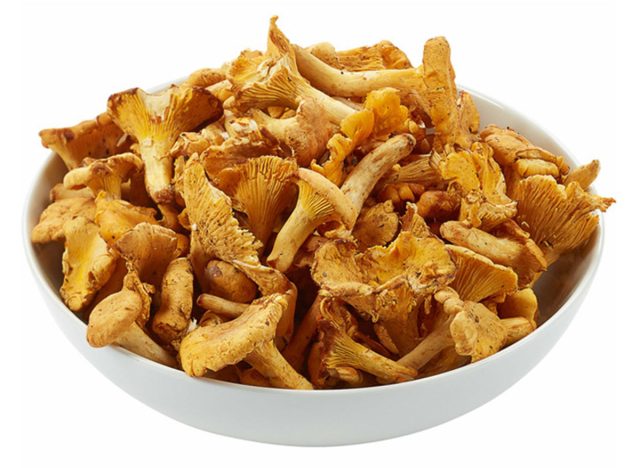 Fresh Chanterelle Mushrooms