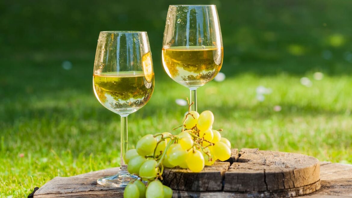 Weekend wine guide: Classy, dry and underpriced NZ rieslings to try