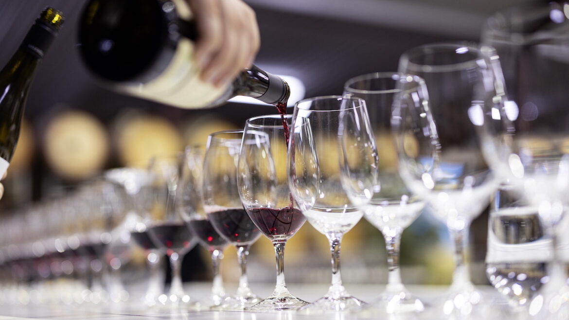 SA wines sweep top 10 at 2025 James Halliday Grenache Challenge