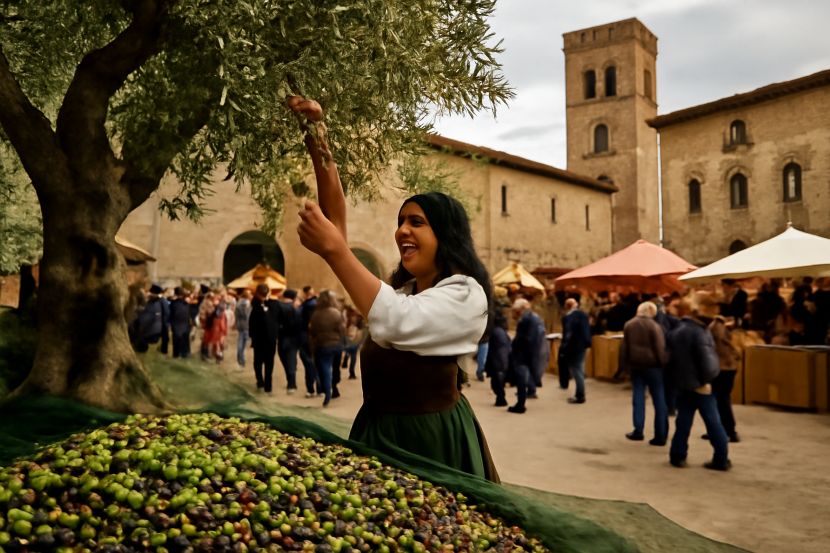Celebrate Italy’s Olive Harvest Season: A Guide to the Best Olive Oil Festivals Across the Country Celebrate Italy’s Olive Harvest Season: A Guide to the Best Olive Oil Festivals Across the Country