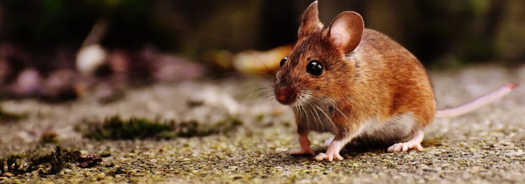 RV Retirement Success Story: How One RVer Became the Traveling Wine Guy 2