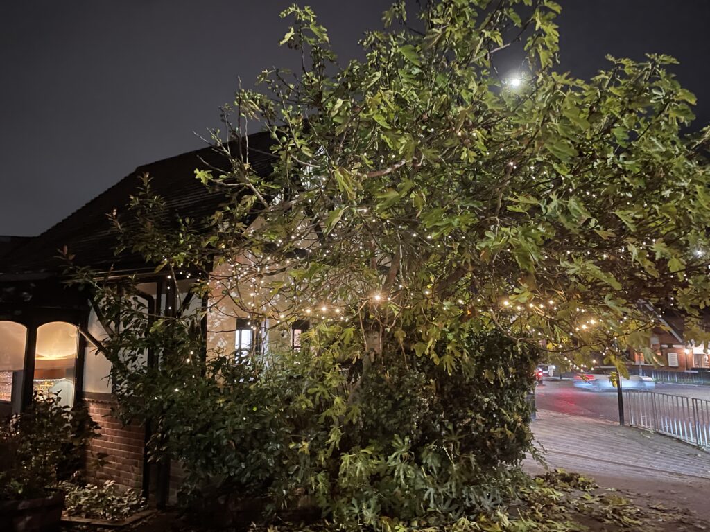 Verdi's in Clarence Park