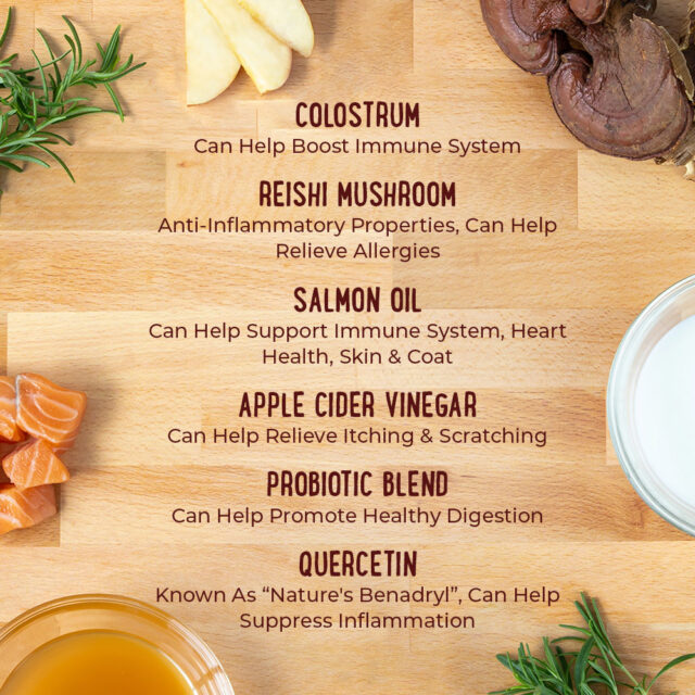 Ingredients to eliminate dog allergies