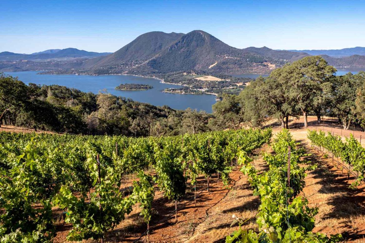 How Lakes Quietly Shape the World’s Most Captivating Wines How Lakes Quietly Shape the World’s Most Captivating Wines