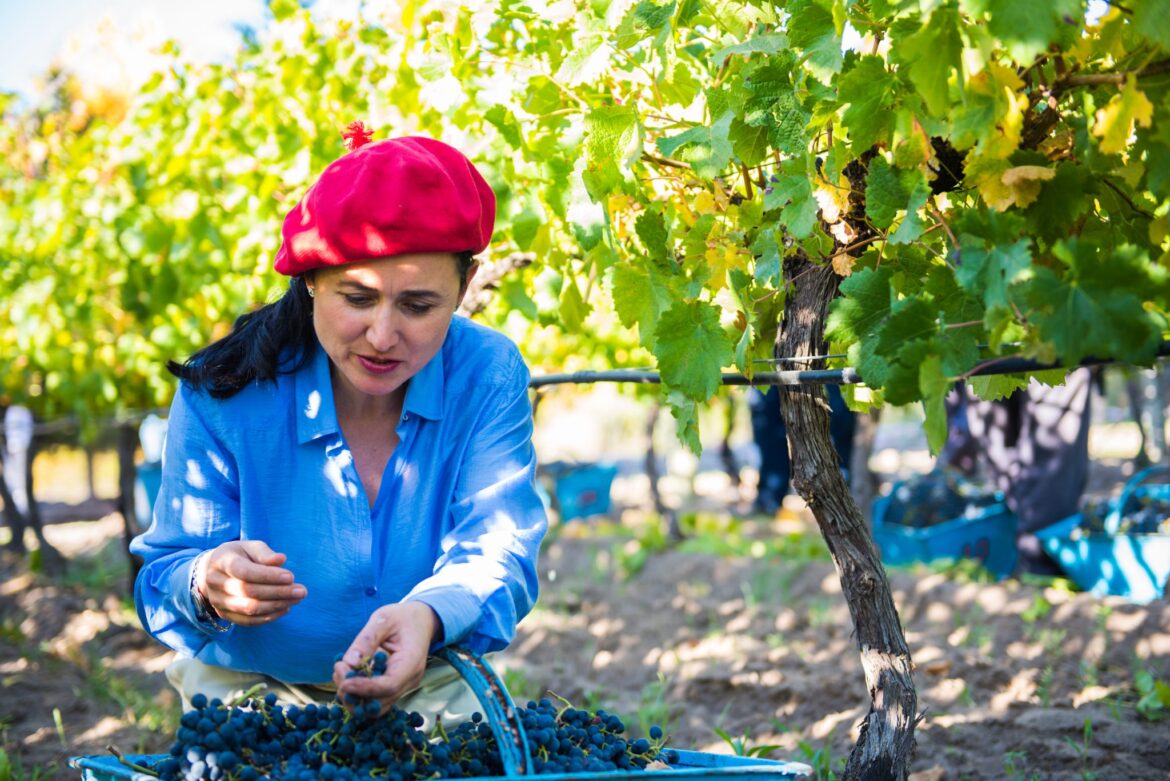 Newcity Resto (Header - Cropped)