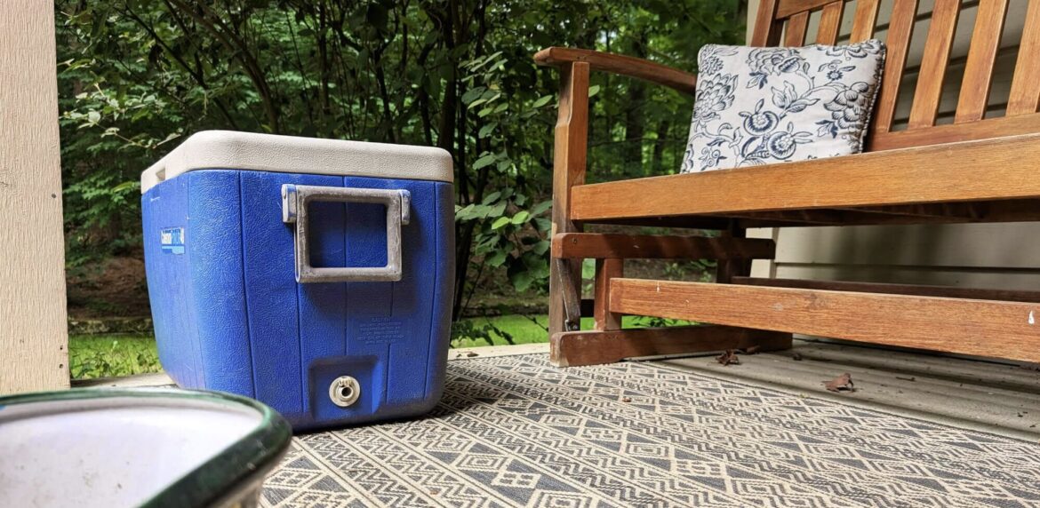 Hungry Bee Fights Food Insecurity with Blue Cooler Project Hungry Bee Fights Food Insecurity with Blue Cooler Project