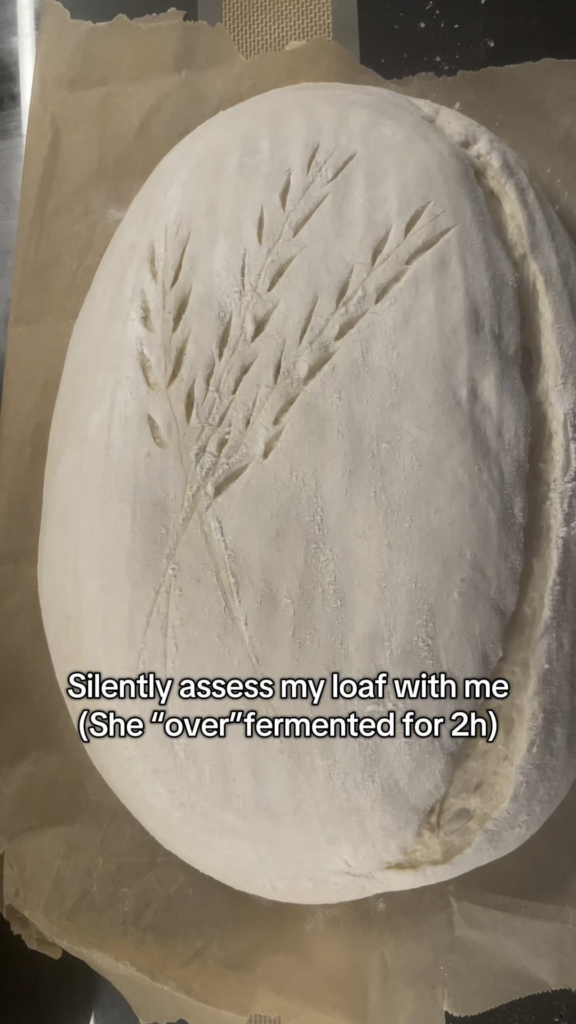 Tried olive oil in my dough