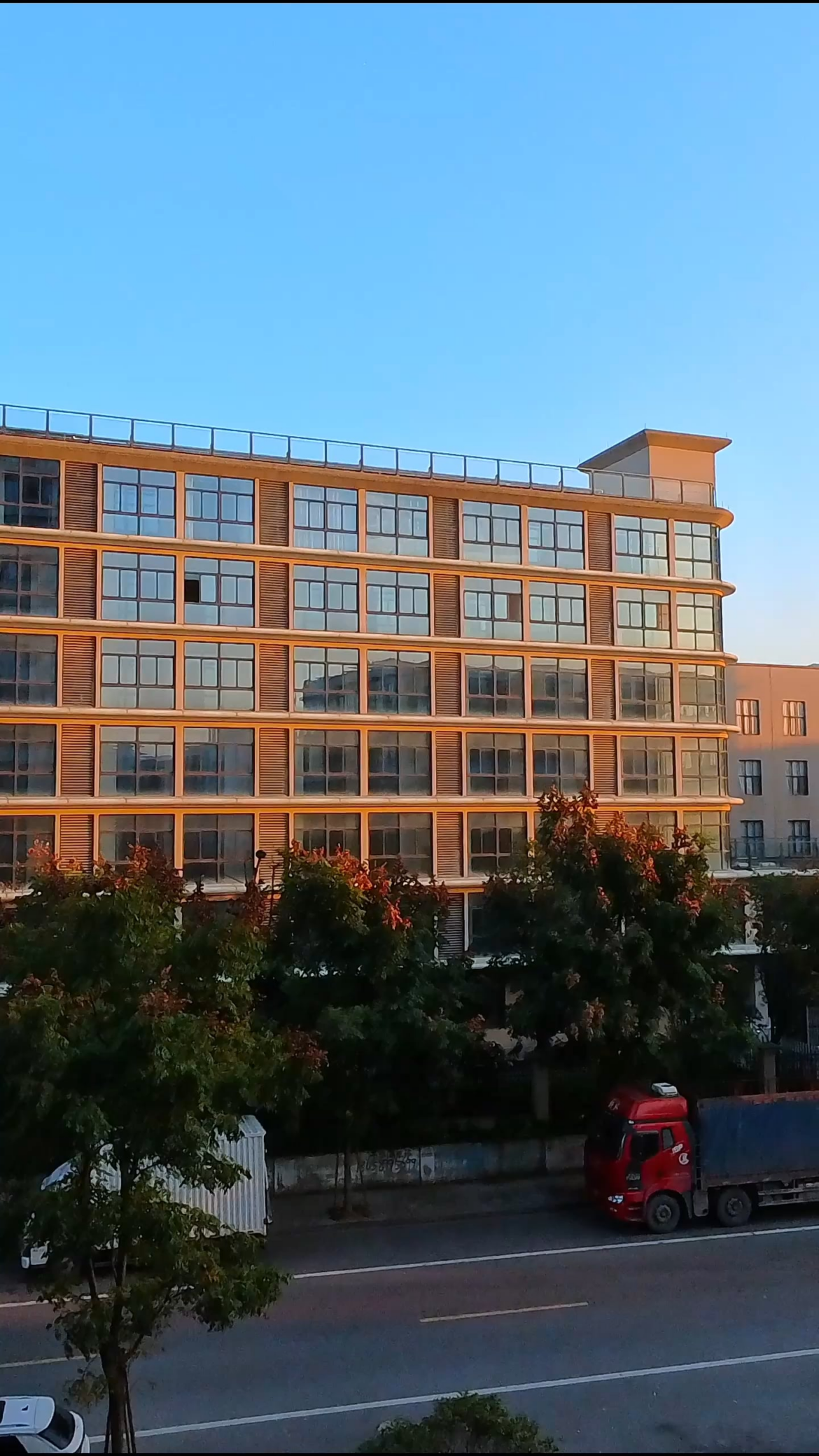 Two-week update on my new lettuce batch.