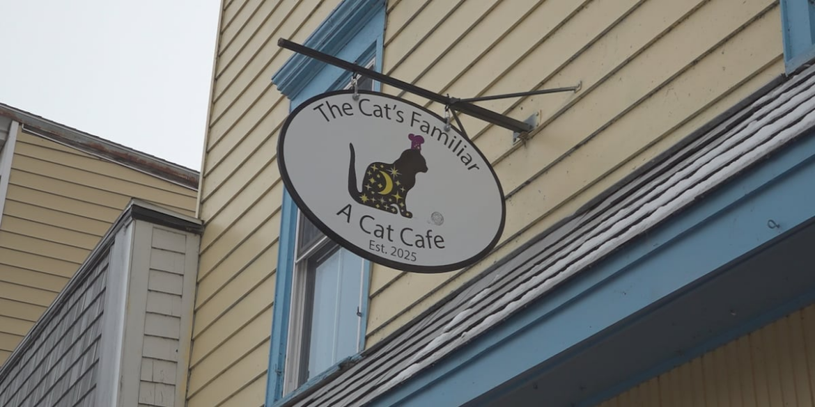 Home cooked meals, baked goods and snuggles are what you’ll find at ‘The Cat’s Familiar’ cat cafe