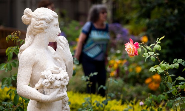 After a long illness, he has been battling T-cell lymphoma...