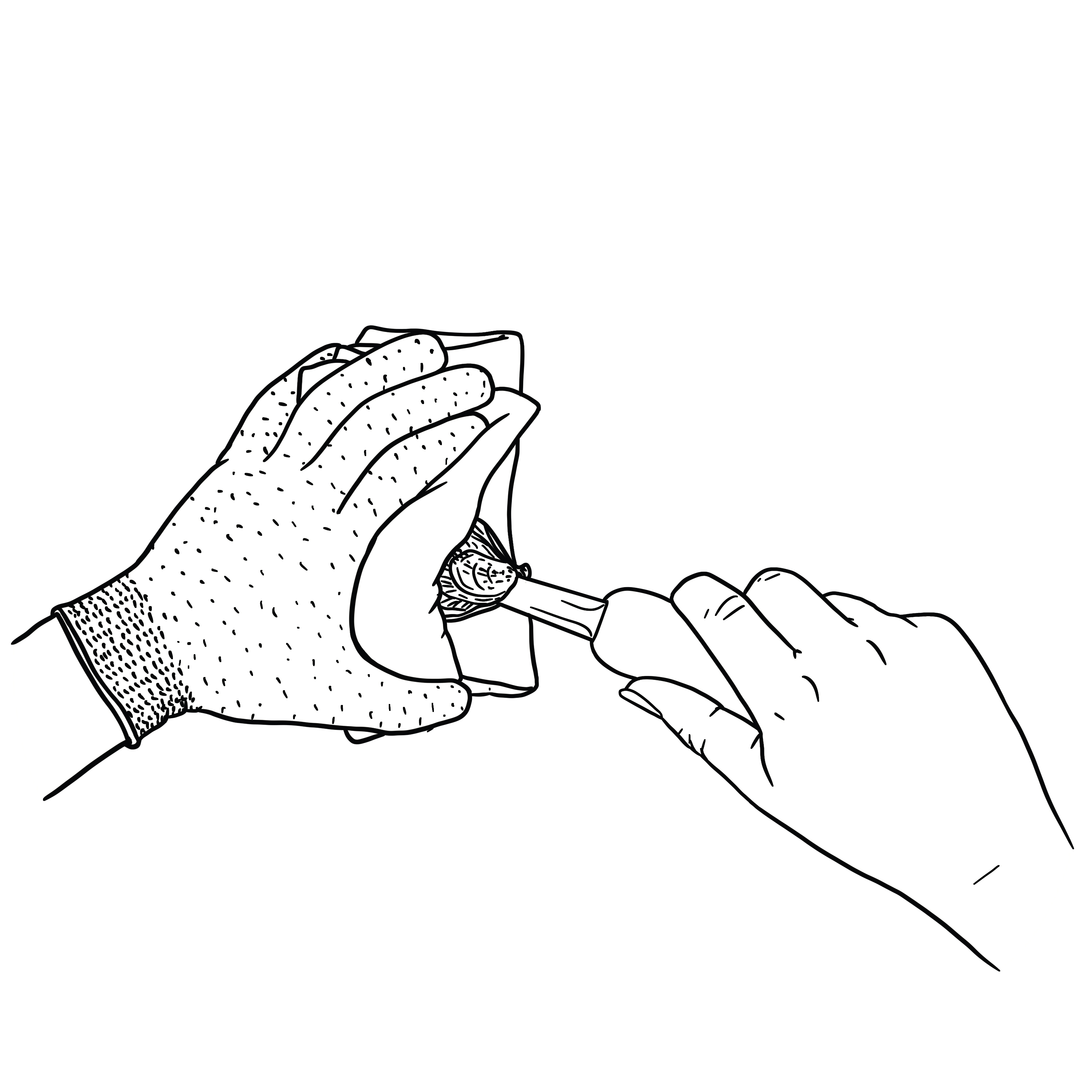 Oyster_2-v2 - Washingtonian