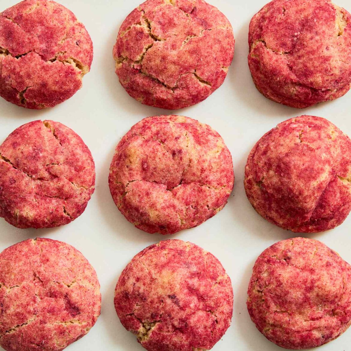 15+ Christmas Cookie Recipes