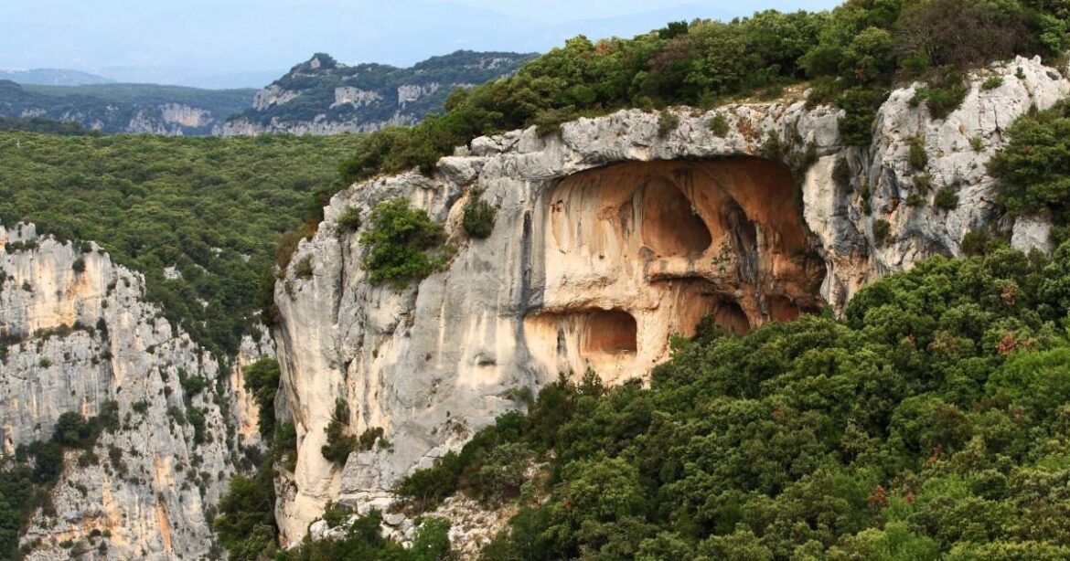 French cyclist survives three days down a ravine by drinking red wine | News World