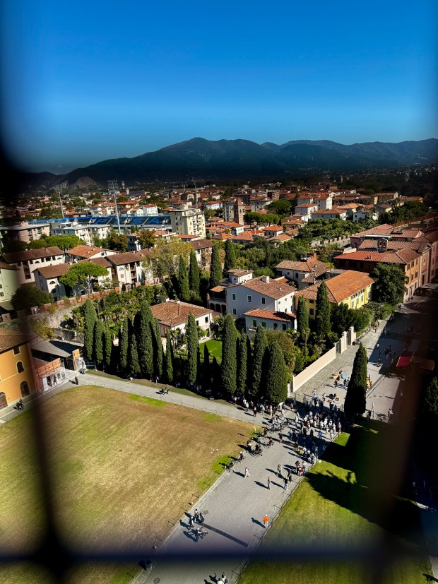 A view of a Tuscan city through wire