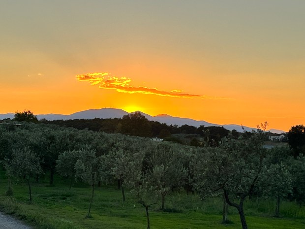 A bright orange sunset. There are mountains and olive trees in the landscape