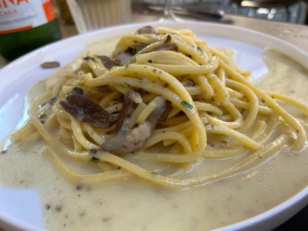 pasta in a creamy sauce with mushrooms