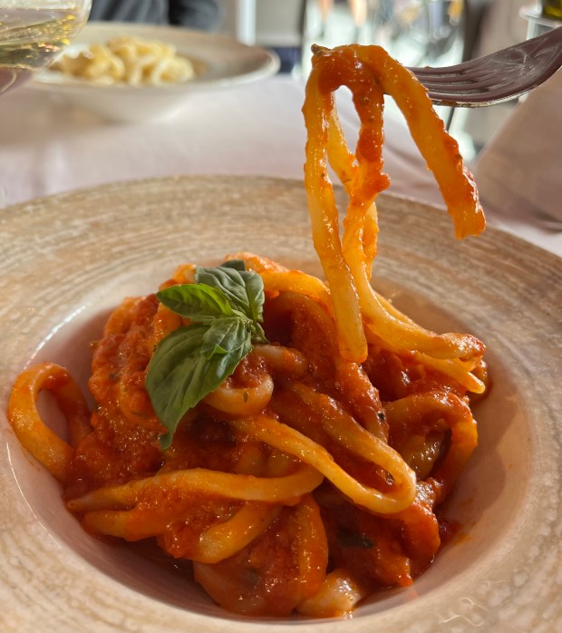 Thick spaghetti in a bright red sauce with a few leaves of basil on top