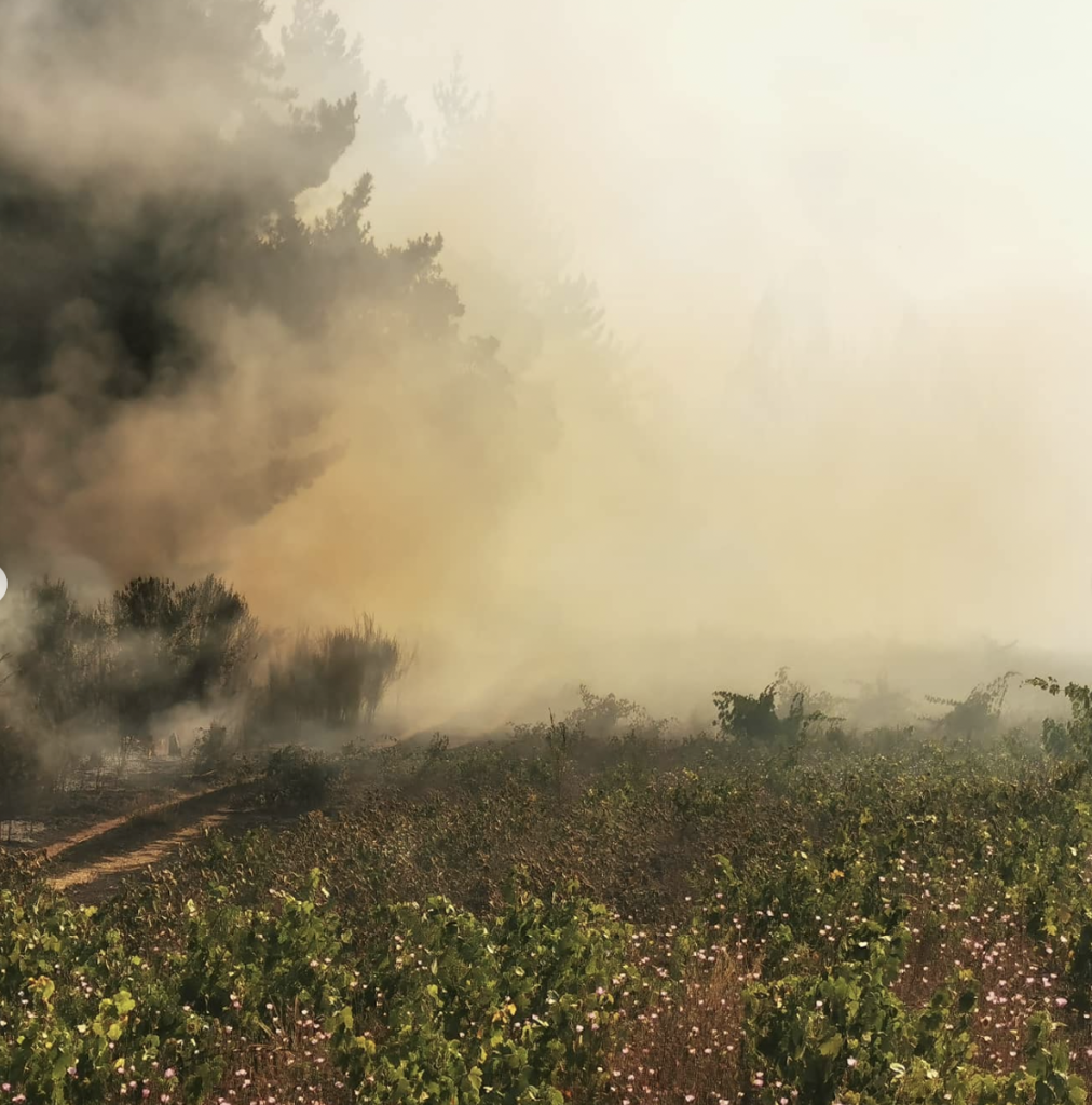 Wild fires rip through Chilean wine regions Itata and Bio Bio Wild fires rip through Chilean wine regions Itata and Bio Bio