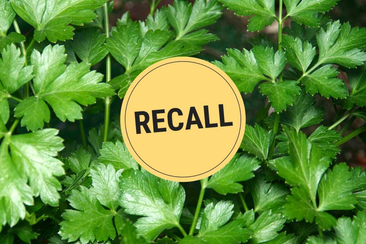 Fresh Parsley Sold in 8+ States Recalled for Salmonella Risk