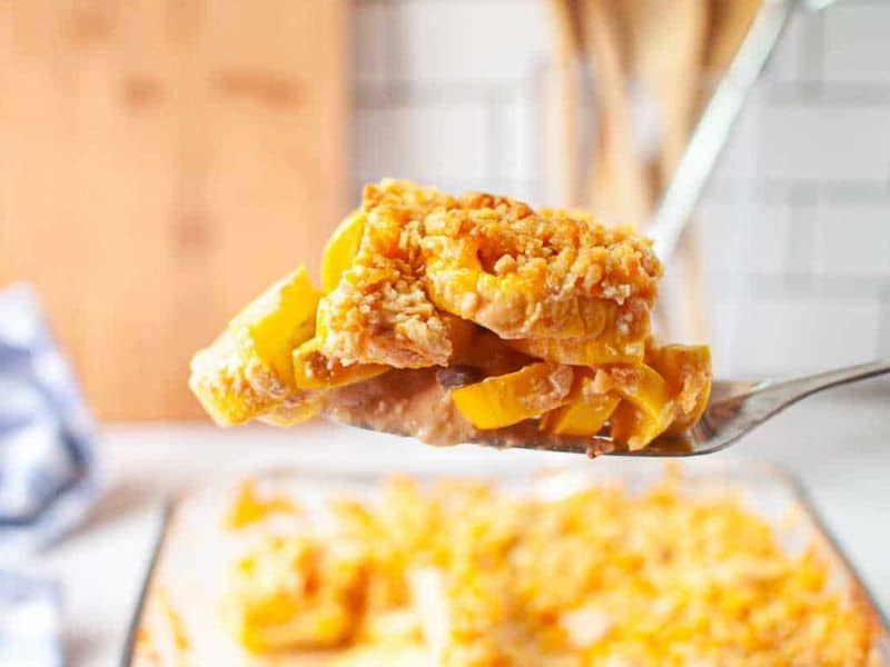 A close-up of a serving spoon holding a portion of cheesy baked casserole with yellow squash and a crumb topping, above a glass baking dish with more casserole.