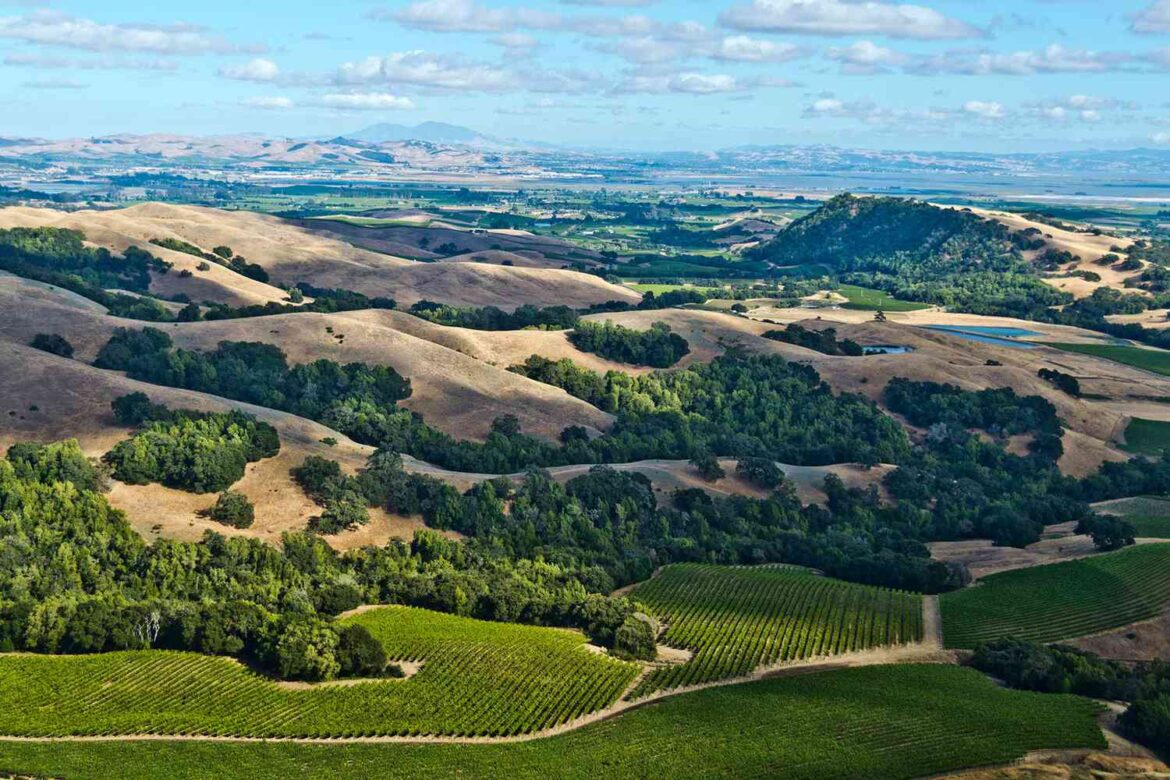 Explore Sonoma: Wines, Charming Towns, Coast Explore Sonoma: Wines, Charming Towns, Coast