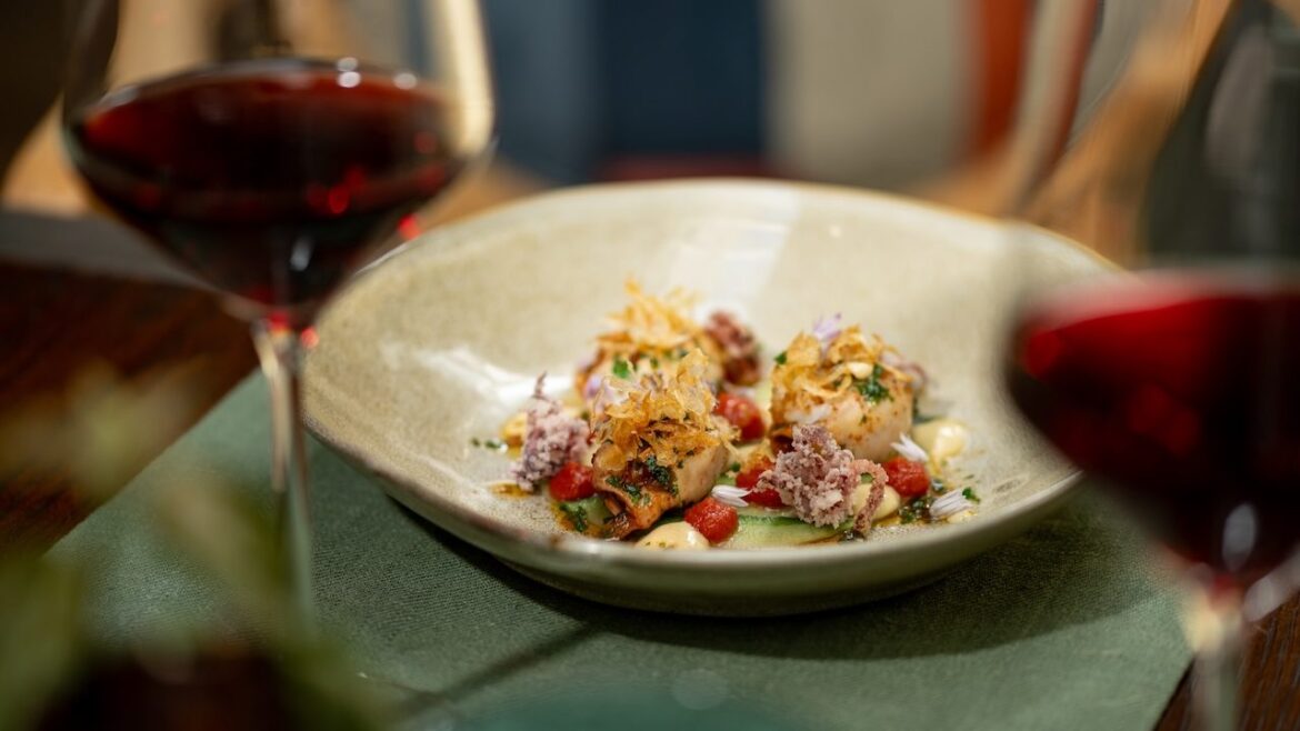 Italian warmth, Cape terroir and the spirit of The Vineyard