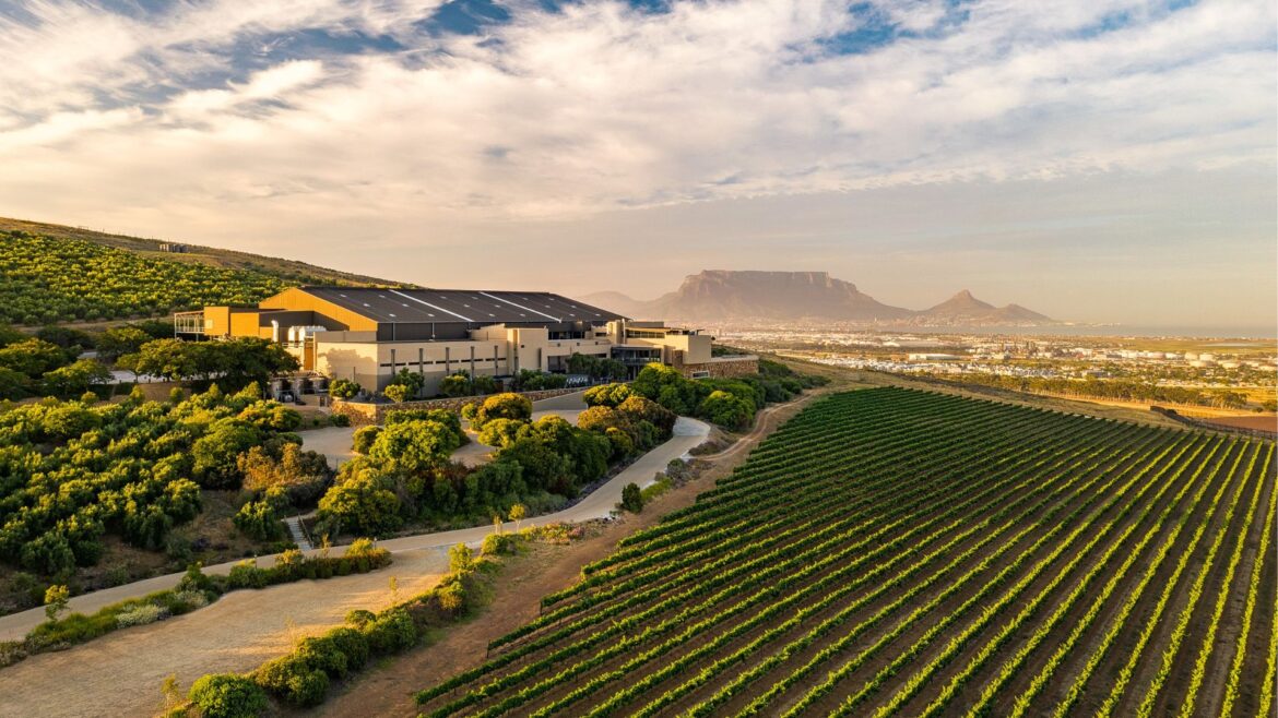 South Africa Wine sets new course for responsible wine production South Africa Wine sets new course for responsible wine production
