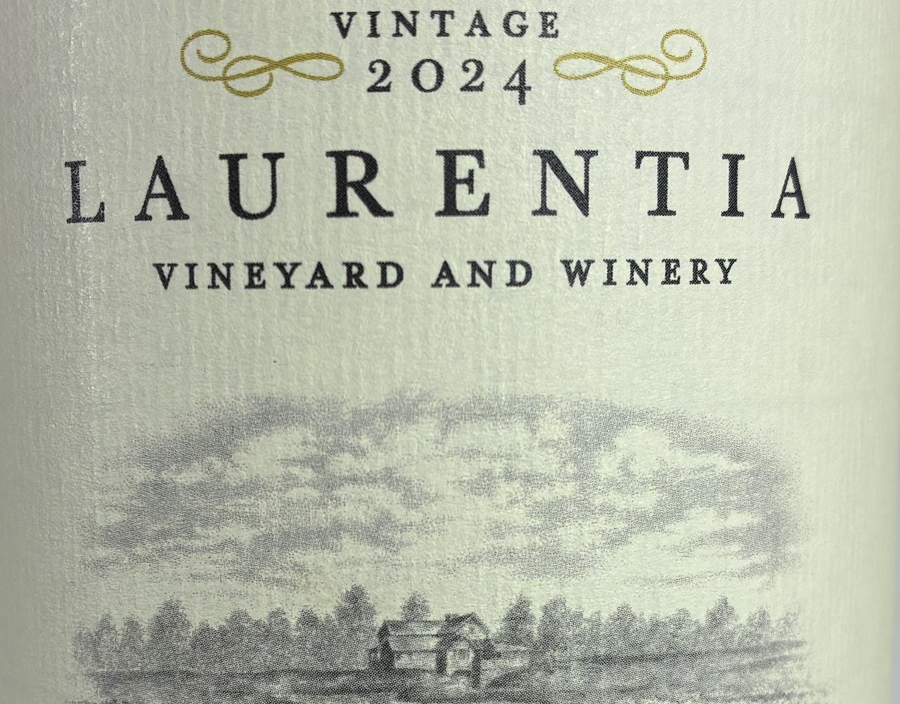 Our November wine review includes eight bottles from four countries.