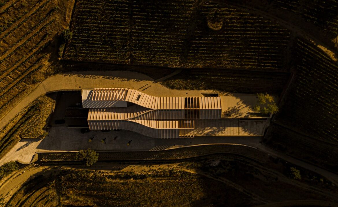 Quinta de Adorigo winery: a grape escape quinta de adorigo portugal