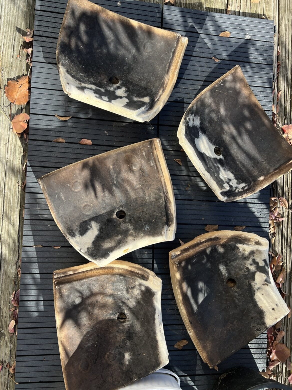 Bought a used Kamado Joe, first time griller