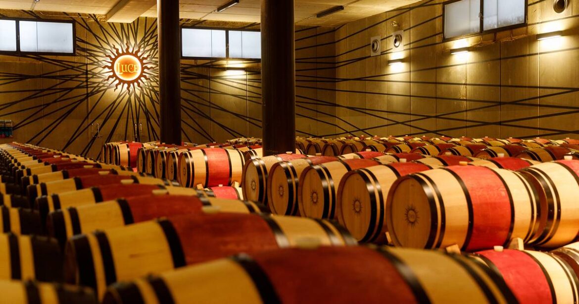 Tenuta Luce celebrates 30 years of excellence and innovation – Shaw Local Tenuta Luce celebrates 30 years of excellence and innovation – Shaw Local