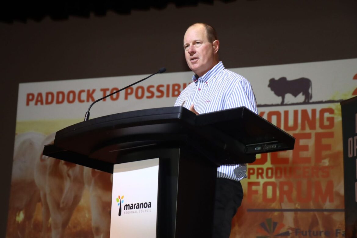 How a boy from a Qld cattle property built a billion-dollar olive oil brand How a boy from a Qld cattle property built a billion-dollar olive oil brand