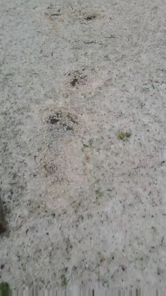 Hail storm damage