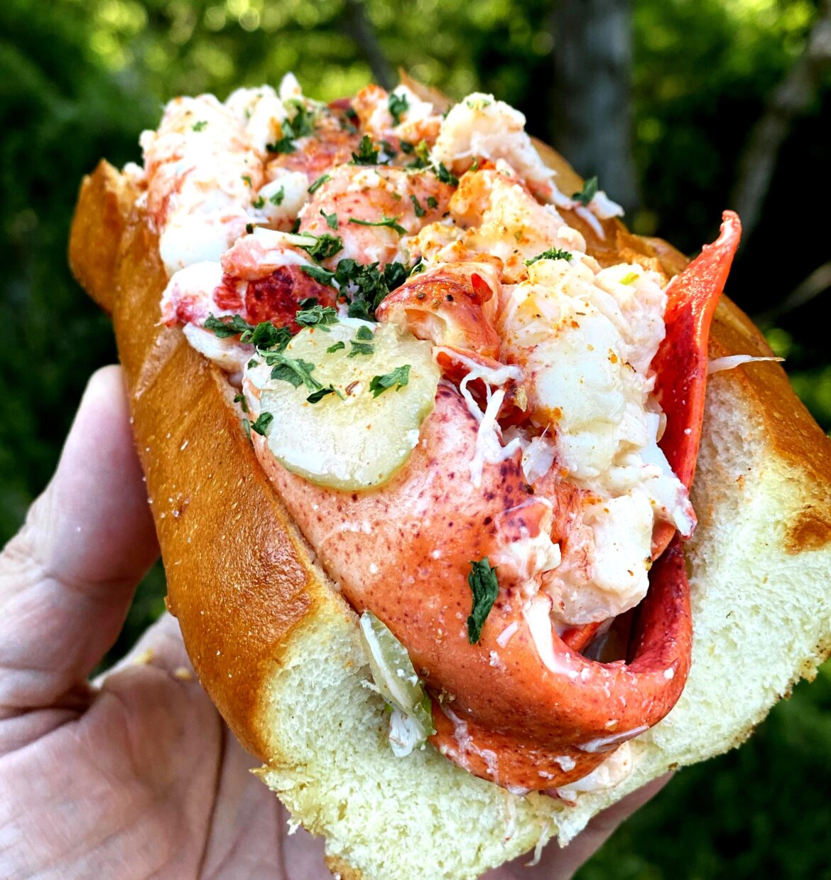 Lobster roll