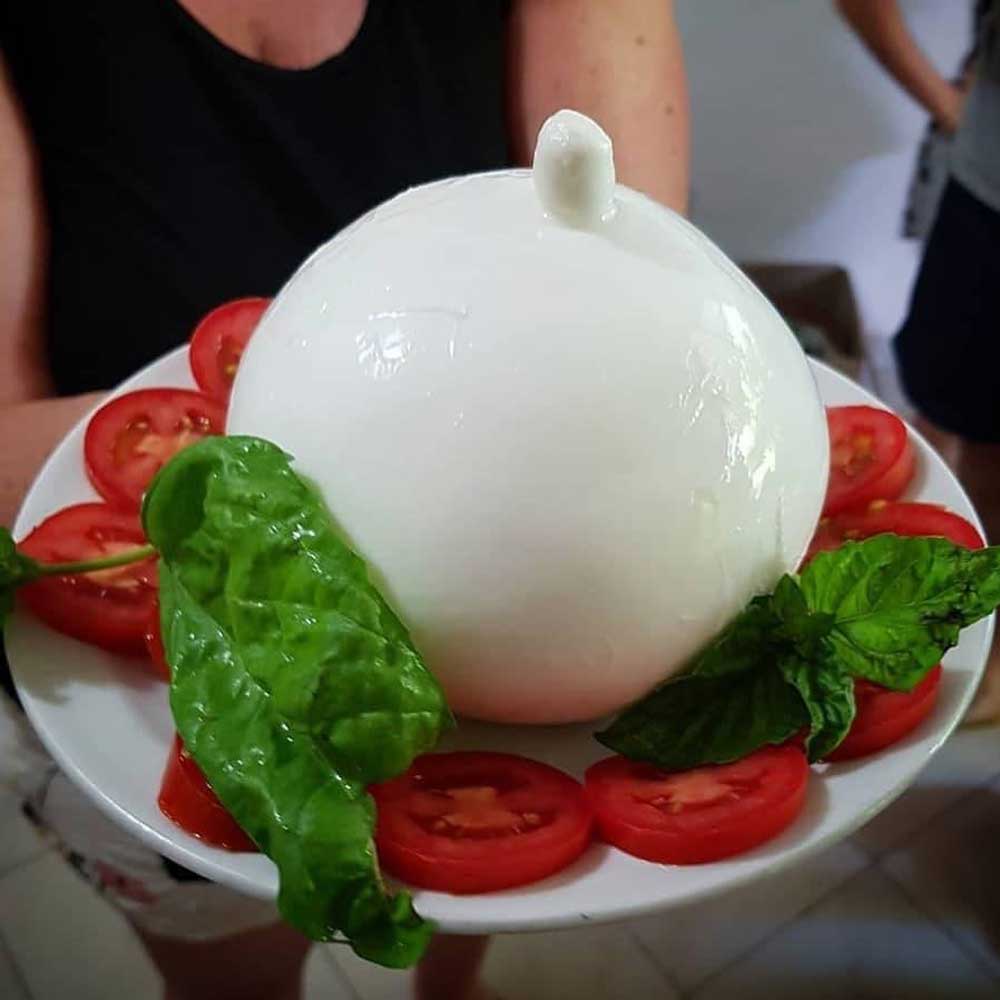 Zizzona of Battipaglia