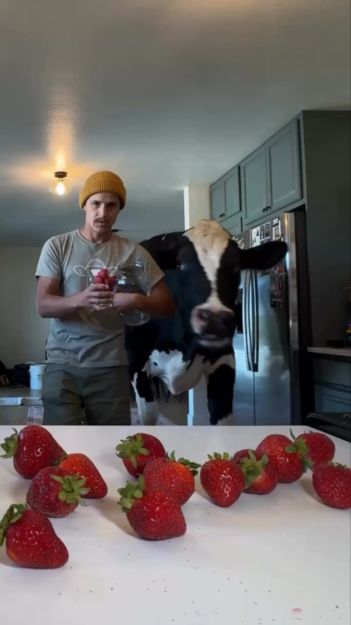 product manager and developer working hard together to deliver a feature