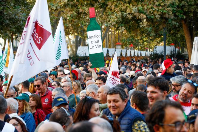 During a protest by winegrowers from southern France in Béziers (Hérault) on November 15, 2025.