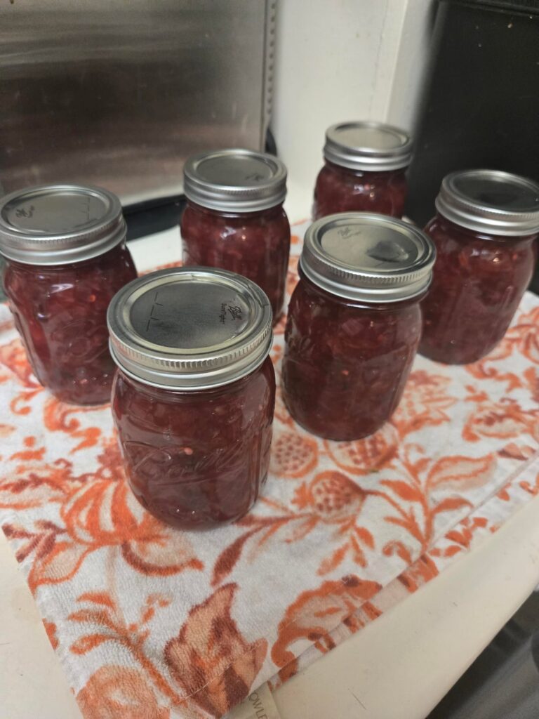 Spicy cranberry salsa