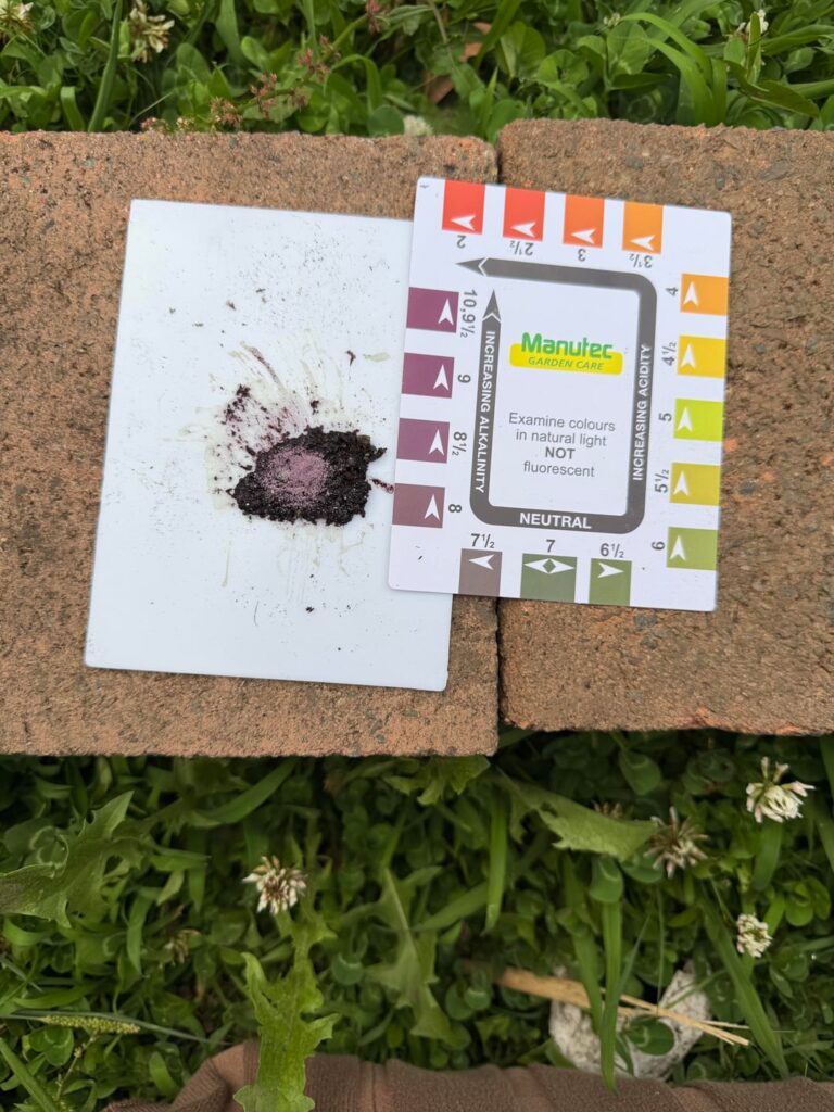 Help please! pH or herbicide damage? Help please! pH or herbicide damage?