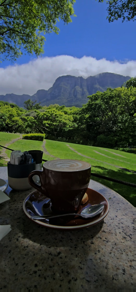 The Vineyard at Newlands Cape Town