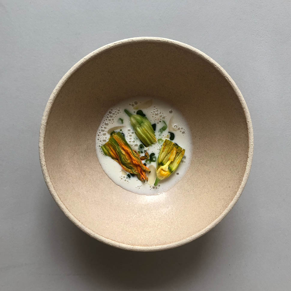 abba fiori di zucchine