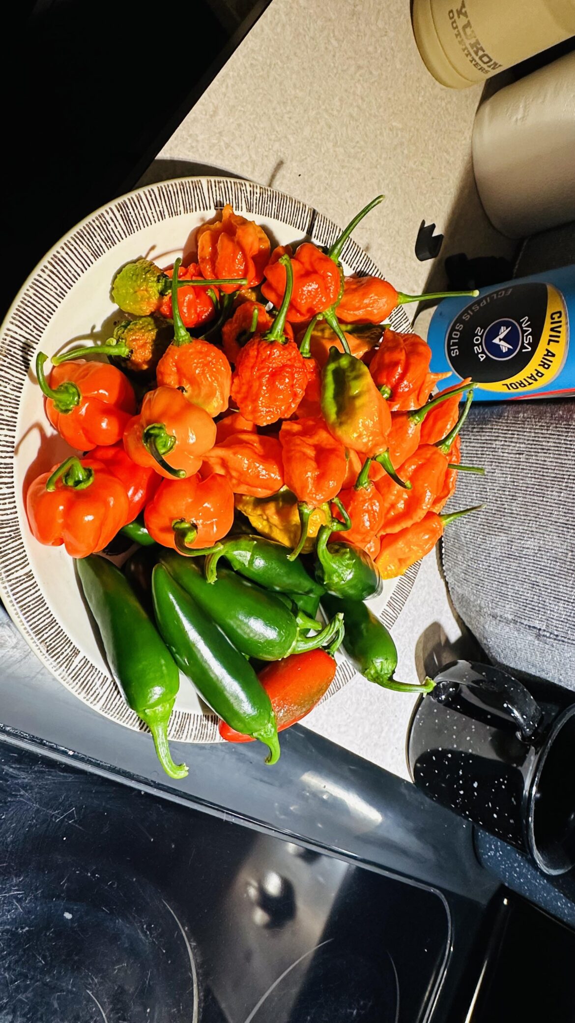 Last Harvest Before Freeze