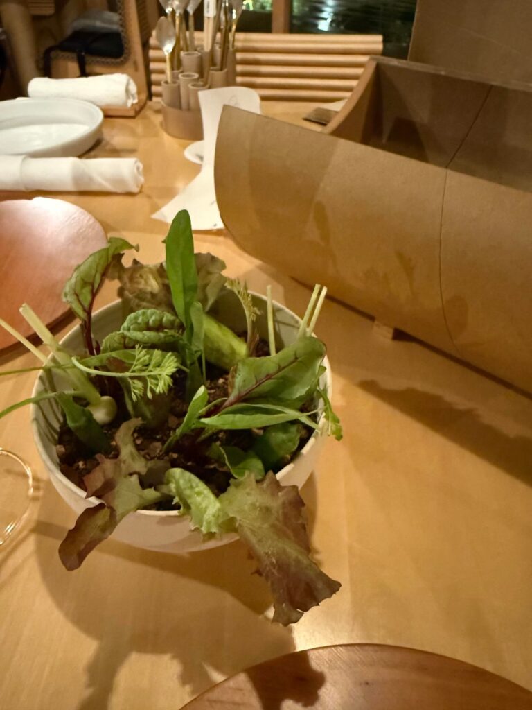 Les Tonnelles – 2* – Kanazawa, Japan Les Tonnelles - 2* - Kanazawa, Japan