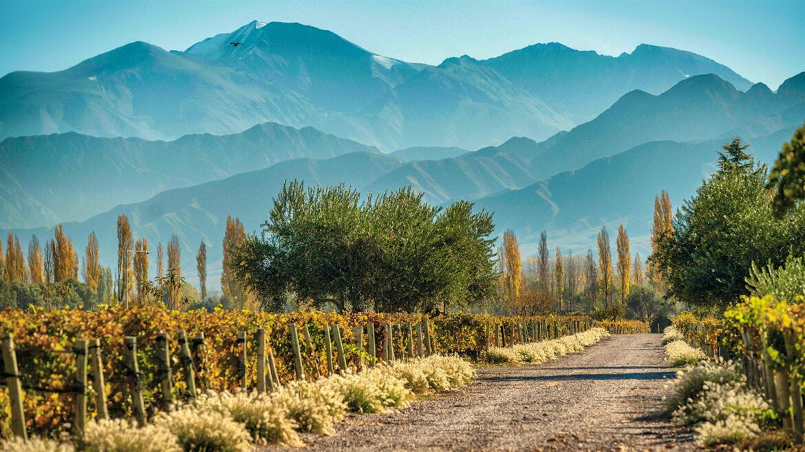 Tasting Report on the Wines of Argentina