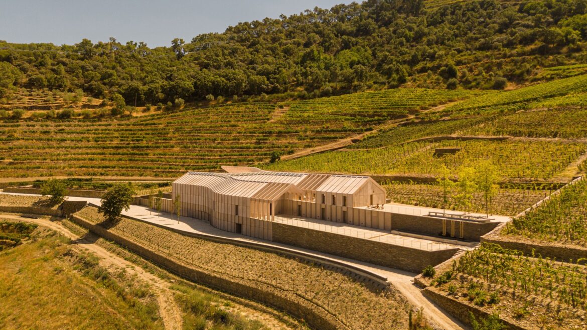Atelier Sérgio Rebelo encases Quinta de Adrorigo Winery in timber frame Quinta de Adorigo Winery by Atelier Sérgio Rebelo