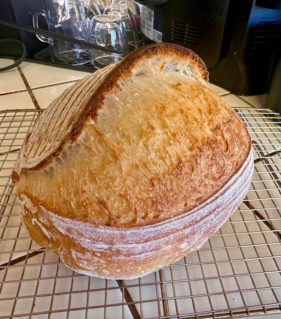 Finally got the ear!