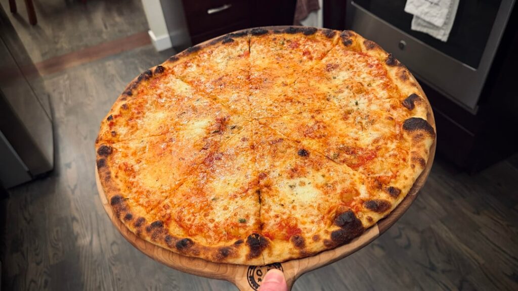 Hatched another pizza egg after five days in cold storage.