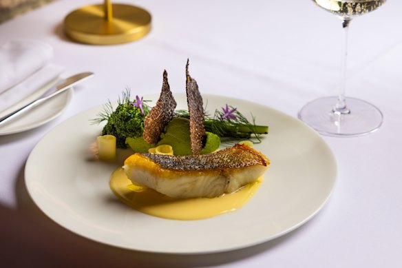 Dry-aged Murray cod with broccoli puree, grilled broccolini and a verjus beurre blanc.