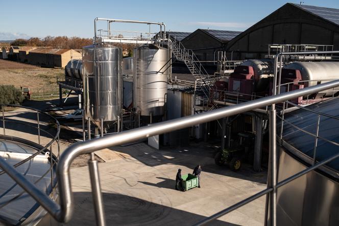 Inside the La Vigneronne cooperative winery, in Canet-d'Aude, southwest France, November 21, 2025.